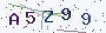 CAPTCHA characters